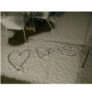 Meet your Posher, Daisy